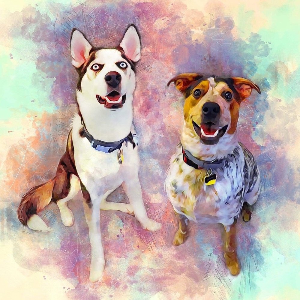 Meet your Posher, Angelina